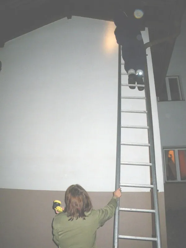 wespennest-entfernungen-2009-4.webp