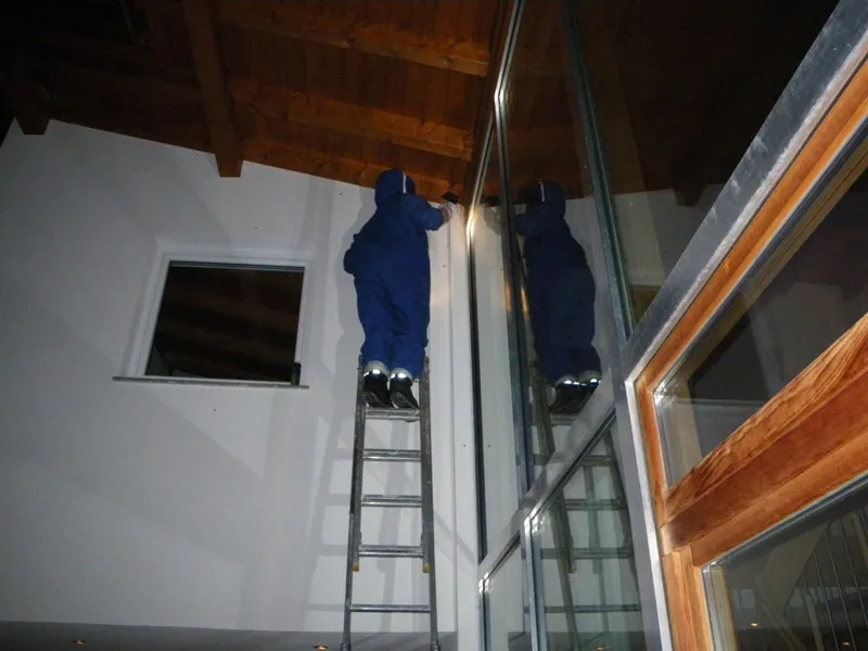 wespennest-in-brennwald-2009-2.webp