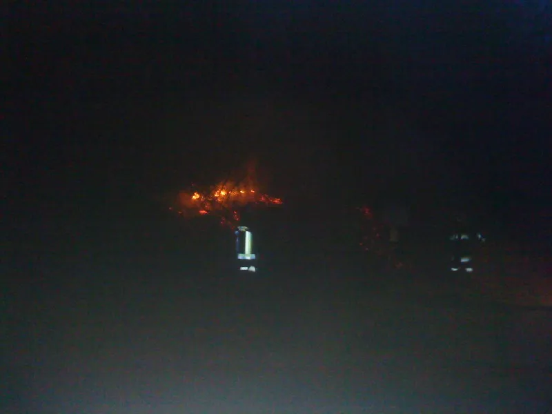 böschungsbrand-brennwald-2010-4.webp
