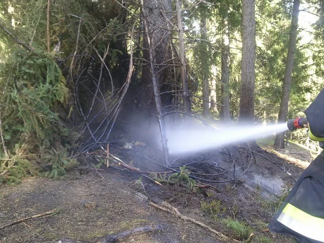 kleiner-baumbrand2.webp