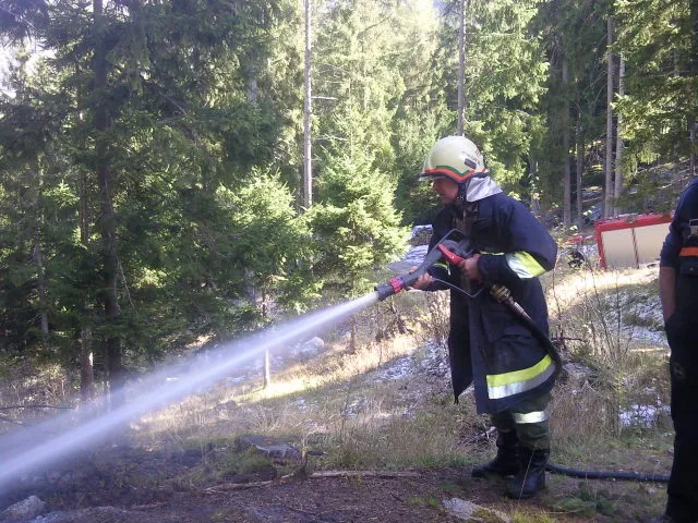 kleiner-baumbrand3.webp