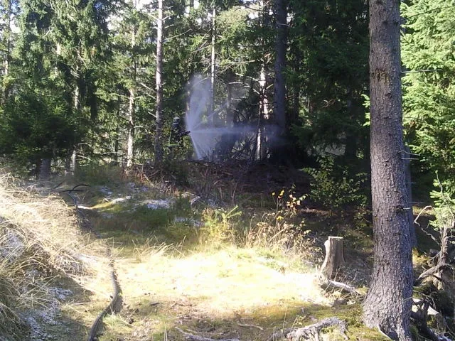 kleiner-baumbrand5.webp
