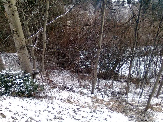 vu-arzl-2010-6.webp