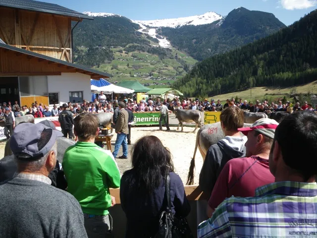 verkehrsdienst-vieh-ausstellung-2011-14.webp