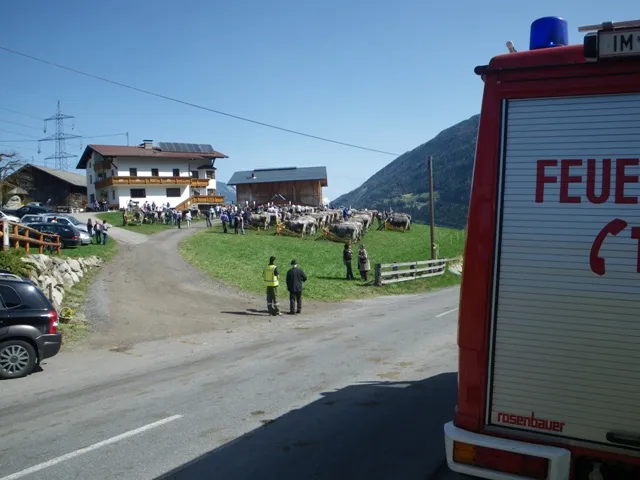 verkehrsdienst-vieh-ausstellung-2011-9.webp