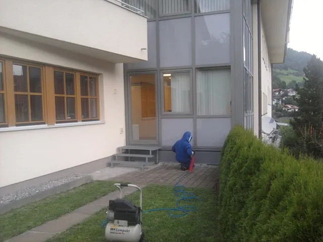 wespen-nest-2011-3.webp
