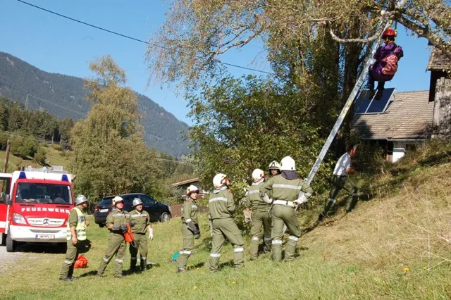abschnittsübung-wenns-2011-14.webp