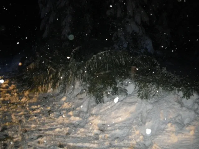 sturmtief-andrea-2012-031.webp