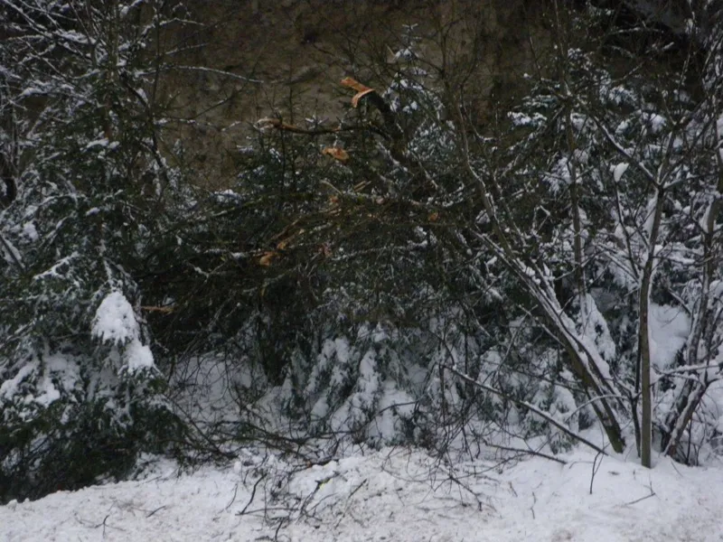 sturmtief-andrea-2012-26.webp