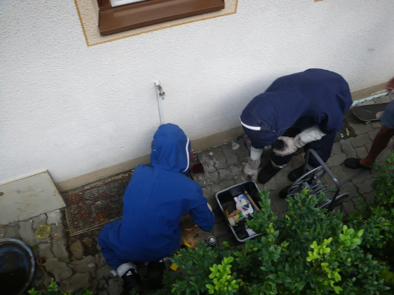 wespen-oberdorf-2012-2.webp