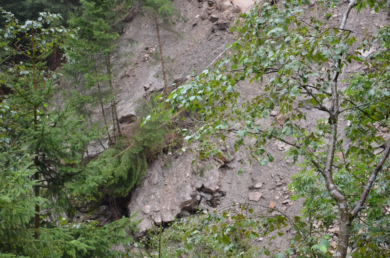 hangrutsch-wenns-l16-2.webp