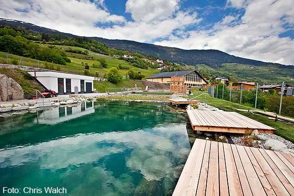 pitz-park-wenns2.webp
