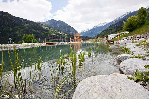 pitz-park-wenns6.webp