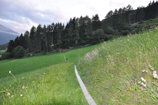 zugsuebung-auders4.webp