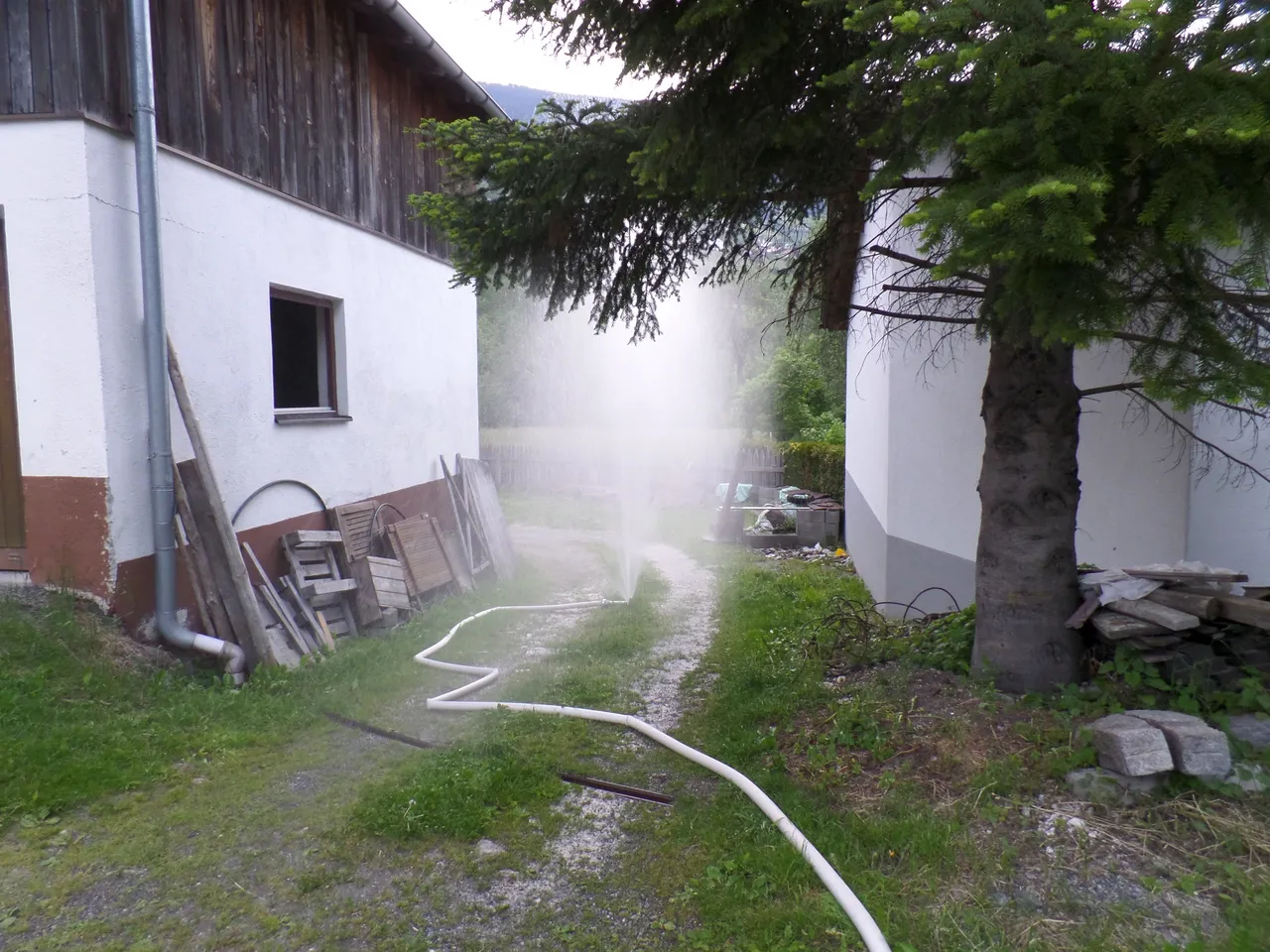 zugsprobe-pitze17.webp