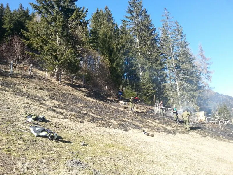 wiesenbrand-wenns2.webp
