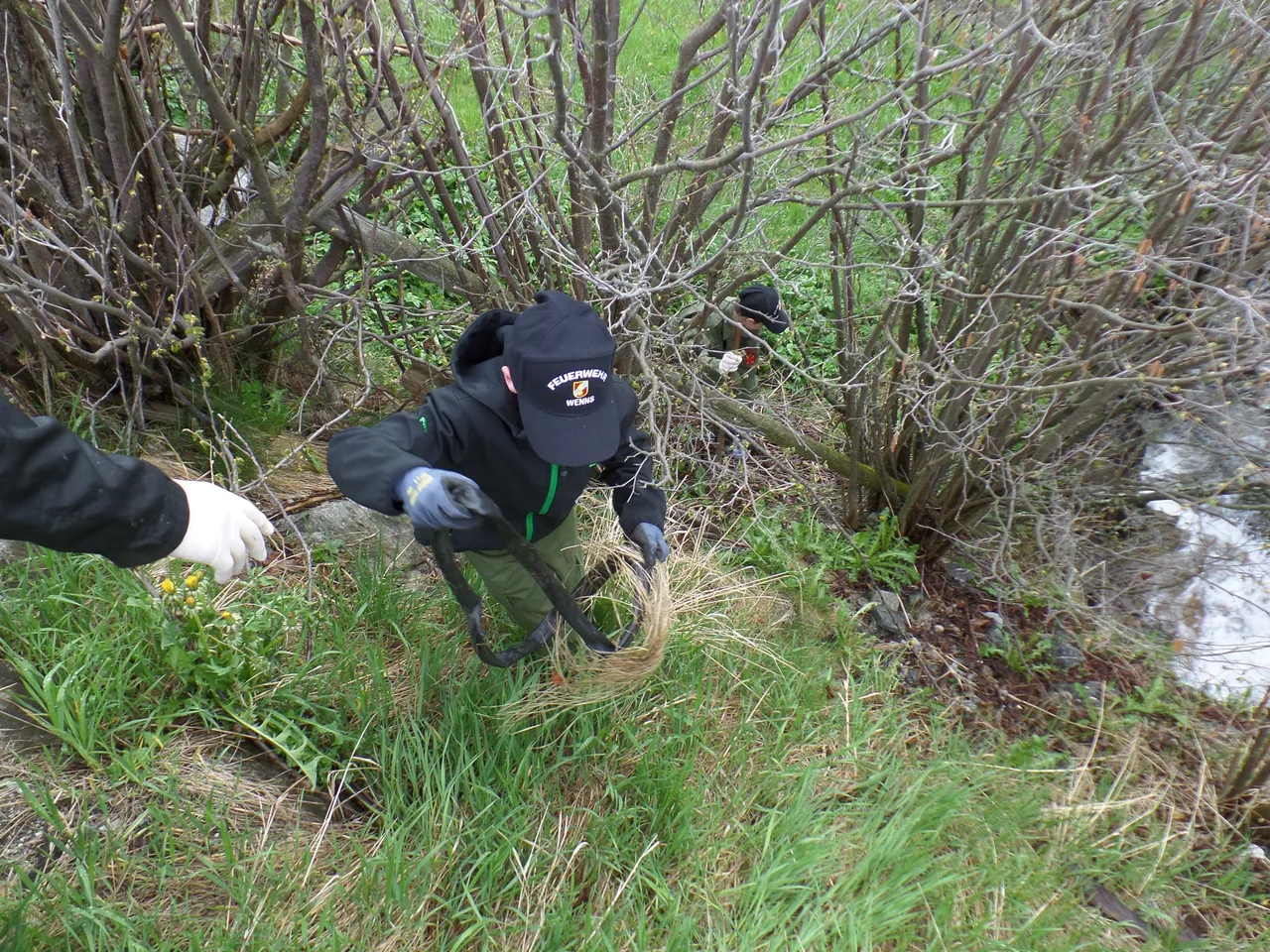 frühjahrsputz_2014_9.webp