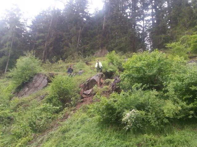 foto-22.mai-5.webp
