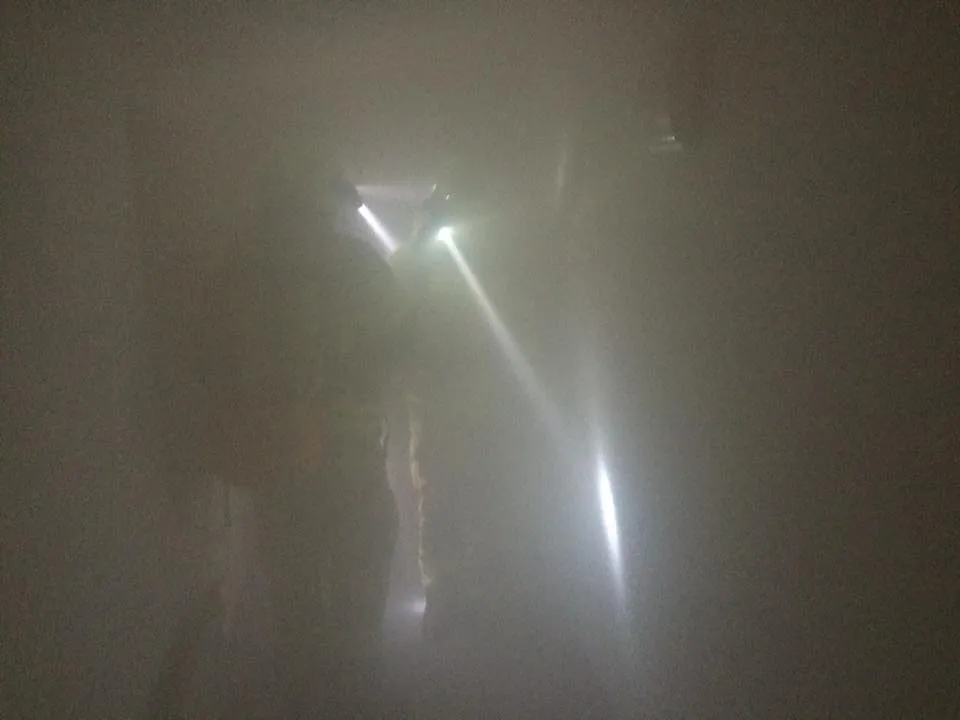 14054956_1202291419845981_4267506130715273550_n.webp