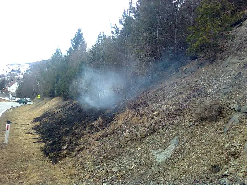 Sammelruf zu einem Böschungsbrand in Brennwald