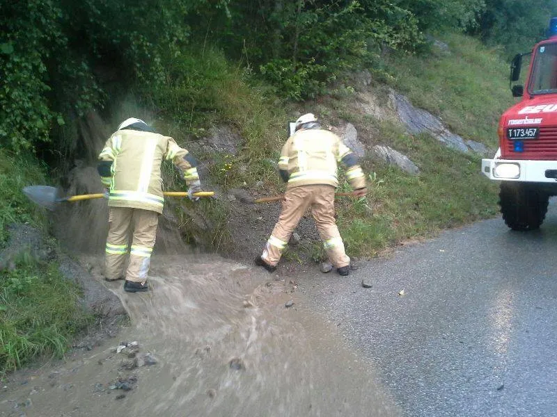 Brandmeldealarm / Unwettereinsätze und Erdrutsch L17