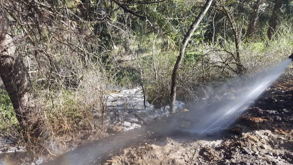 Waldbrand im Ortsteil Moosanger - rund 150m² Waldboden und Gebüsch in Brand