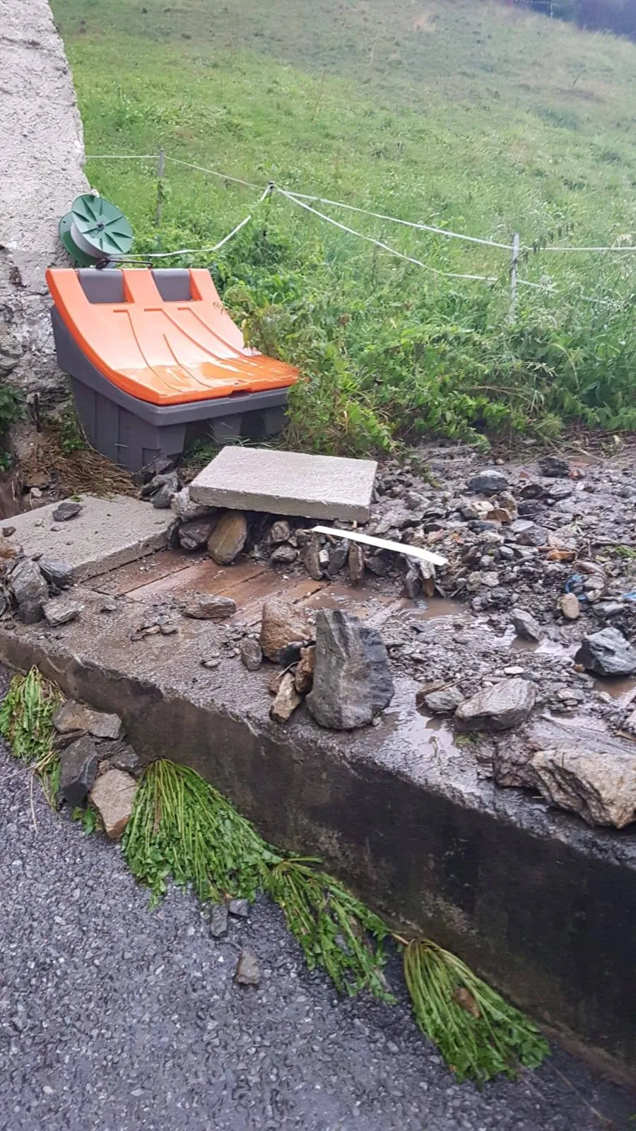 Zahlreiche Unwetter-/Sturmeinsätze im Ortsgebiet Wenns