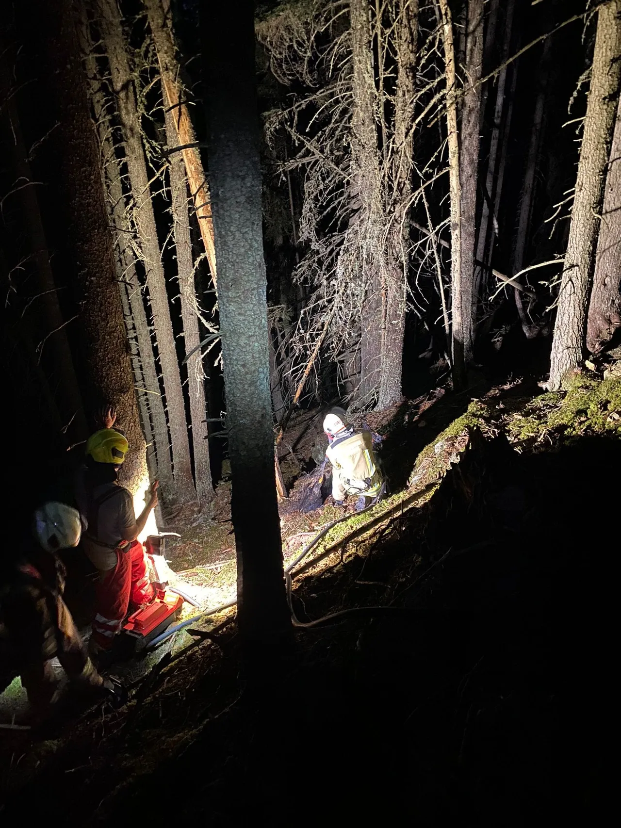 Brand Baum nach Blitzeinschlag