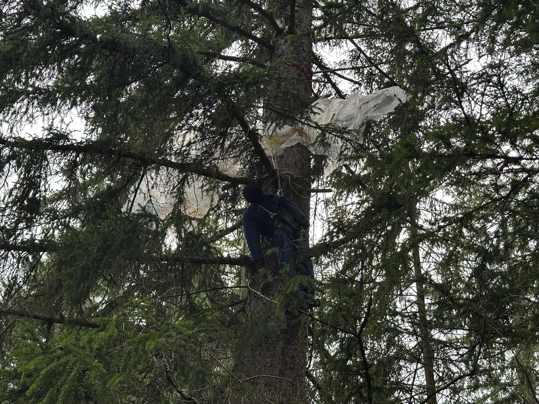 Technische Übung – Absturz Gleitschirmpilot in Baum / Gruppe 6